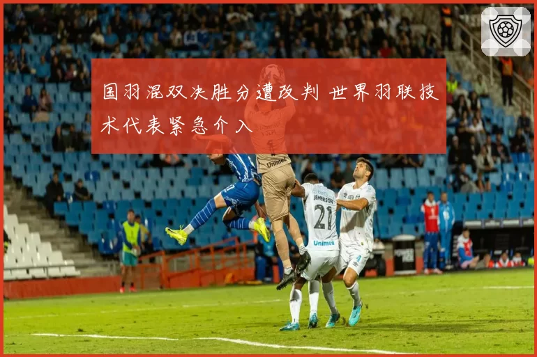 国羽混双决胜分遭改判 世界羽联技术代表紧急介入
