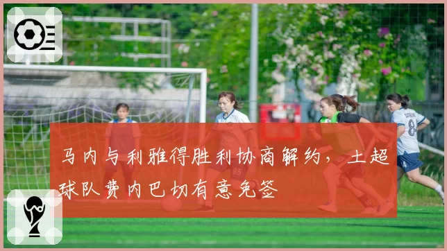 马内与利雅得胜利协商解约,土超球队费内巴切有意免签