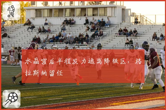 水晶宫后半程发力逃离降级区,格拉斯纳留任