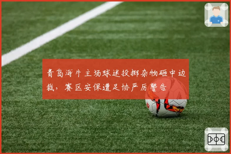 青岛海牛主场球迷投掷杂物砸中边裁，赛区安保遭足协严厉警告