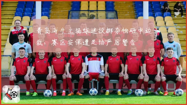 青岛海牛主场球迷投掷杂物砸中边裁，赛区安保遭足协严厉警告